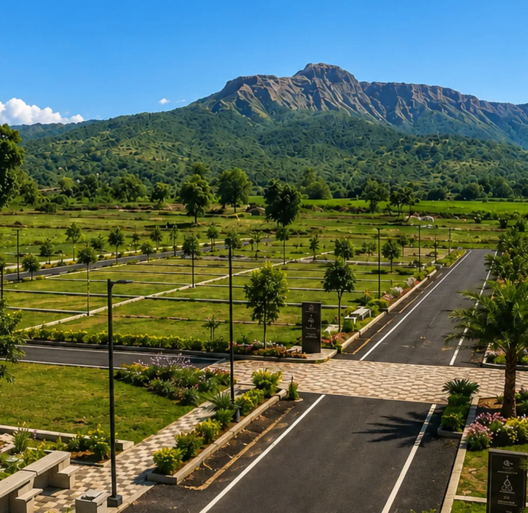  Top Elevation